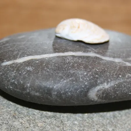 Daire Am Puls Der Altstadt Erfurt