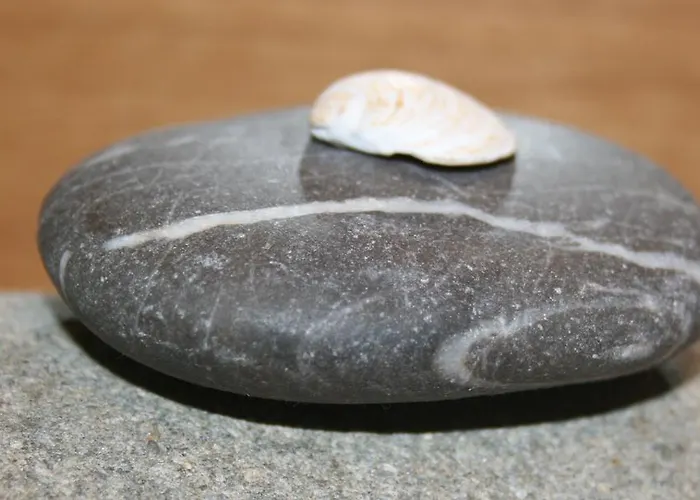 Appartement Am Puls Der Altstadt Erfurt